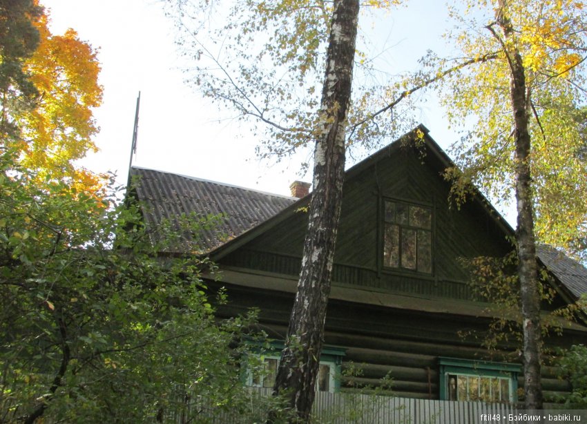 Дачная Малаховка | Бэйбики Дачная Малаховка — Интересное и необычное: фотоподборки (фото 10)