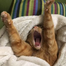 Просто ржака