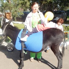 Лечебная верховая езда