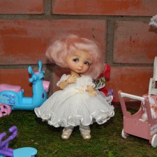 Вечером в саду