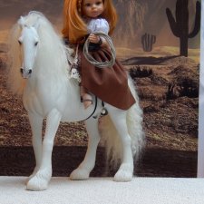 Ковбойский мотив