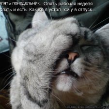 Понедельник день тяжелый