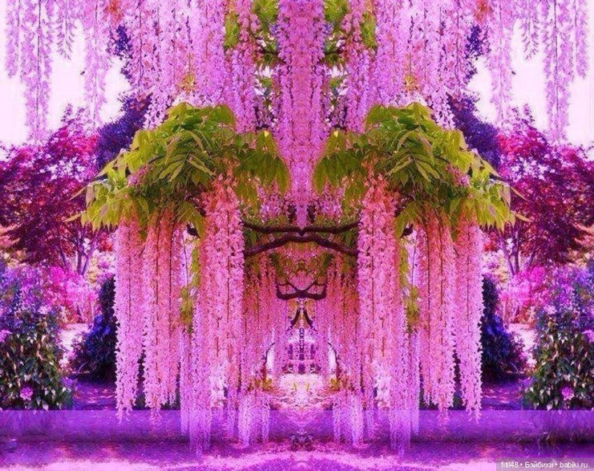 Мой маленький эльфик — Домашние фото авторских кукол: личные коллекции (фото 2)