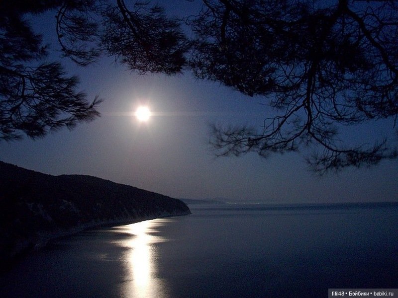 Мой маленький эльфик — Домашние фото авторских кукол: личные коллекции (фото 3)