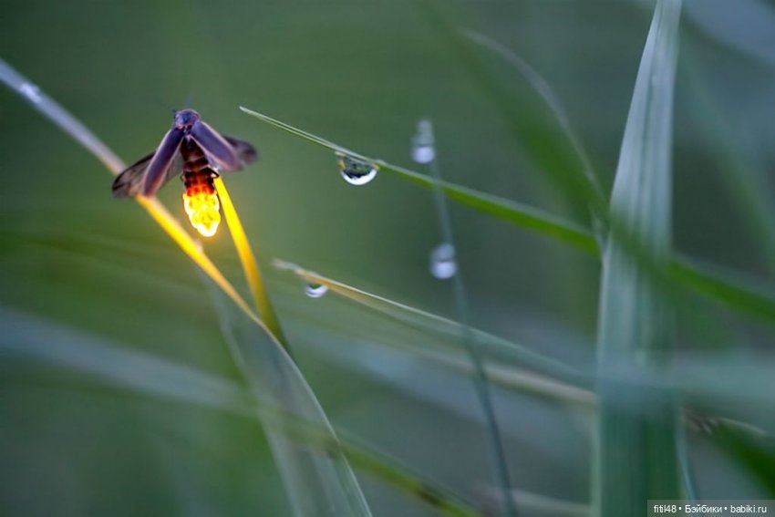 Эльфочка Ариэль и темнота (фото 8)