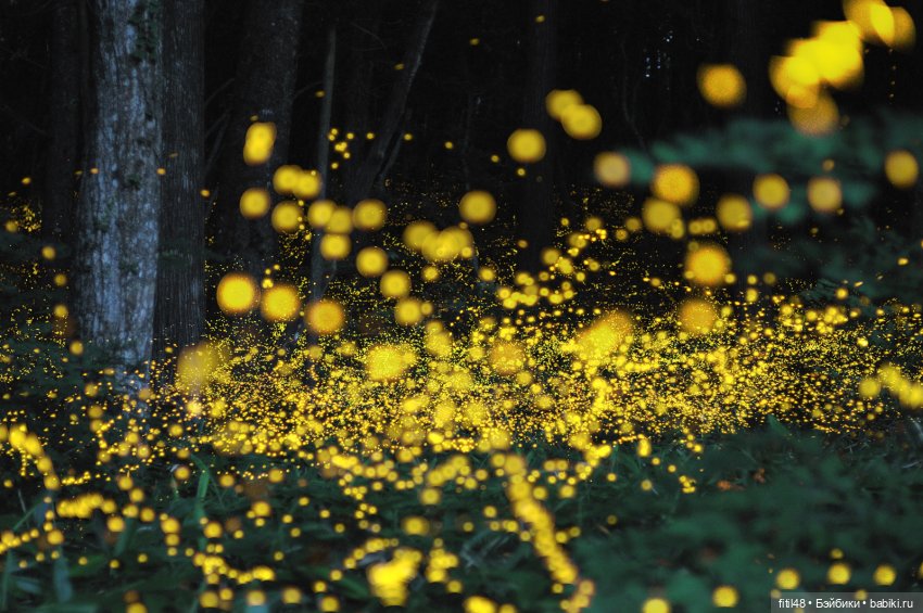 Эльфочка Ариэль и темнота