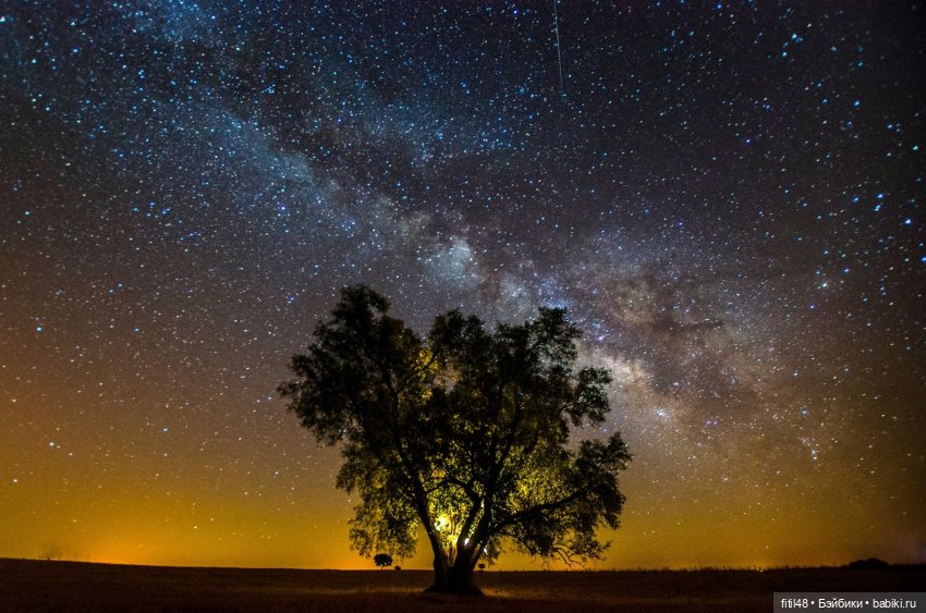 Эльфочка Ариэль и темнота (фото 3)