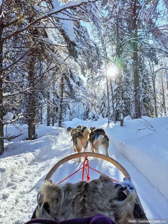 Новогодние традиции в скандинавских странах: как празднуют Новый год в Скандинавии (фото 4)