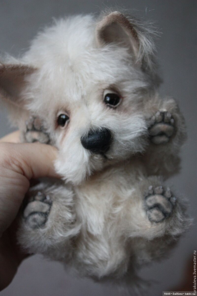 35 умилительных мягких игрушек мимо которых невозможно пройти равнодушно