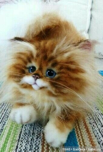 35 умилительных мягких игрушек мимо которых невозможно пройти равнодушно