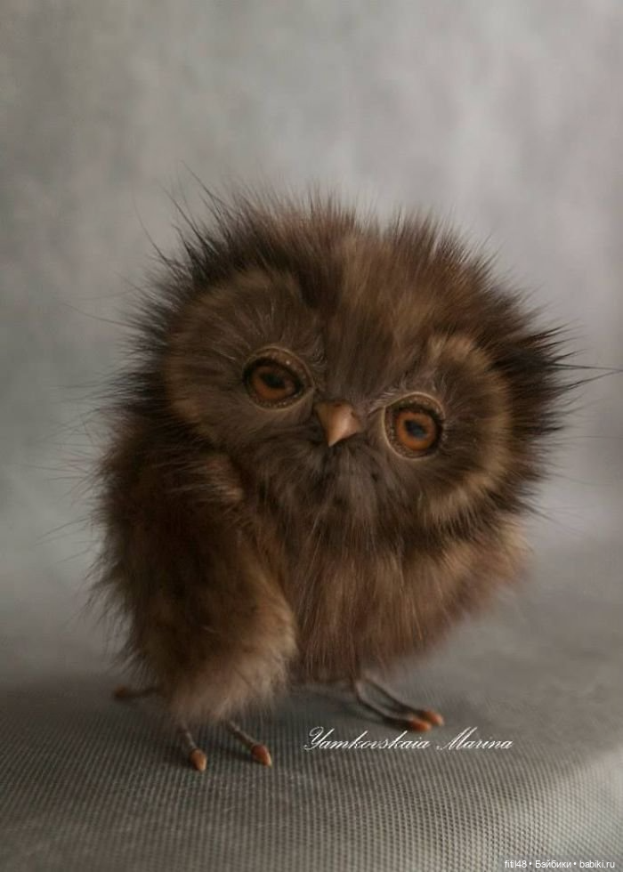 35 умилительных мягких игрушек мимо которых невозможно пройти равнодушно (фото 7)