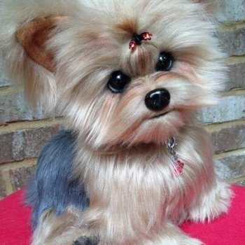 35 умилительных мягких игрушек мимо которых невозможно пройти равнодушно