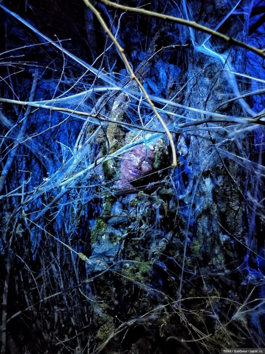 Бестиарий — Интересное и необычное: фотоподборки