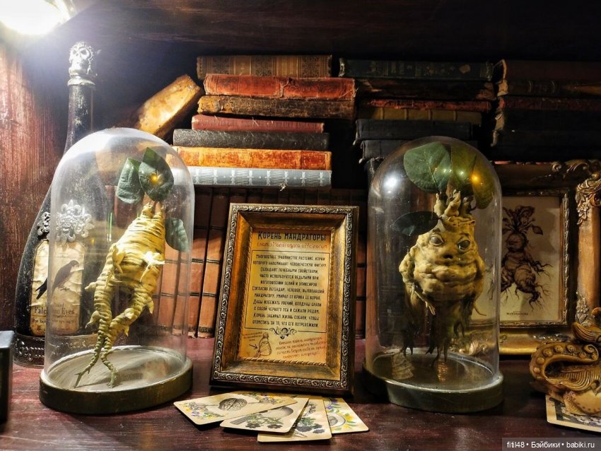 Бестиарий — Интересное и необычное: фотоподборки (фото 5)