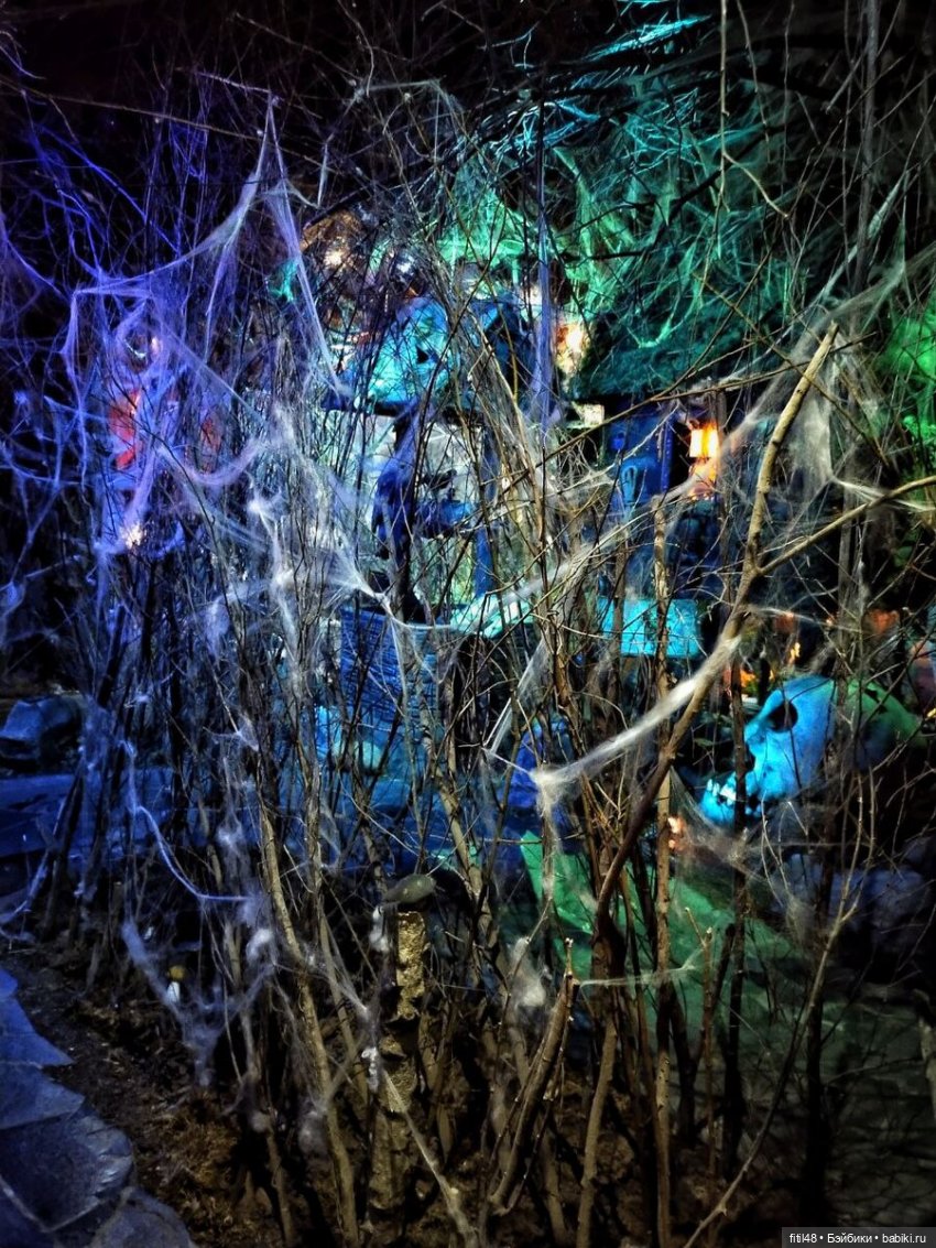 Бестиарий — Интересное и необычное: фотоподборки (фото 9)