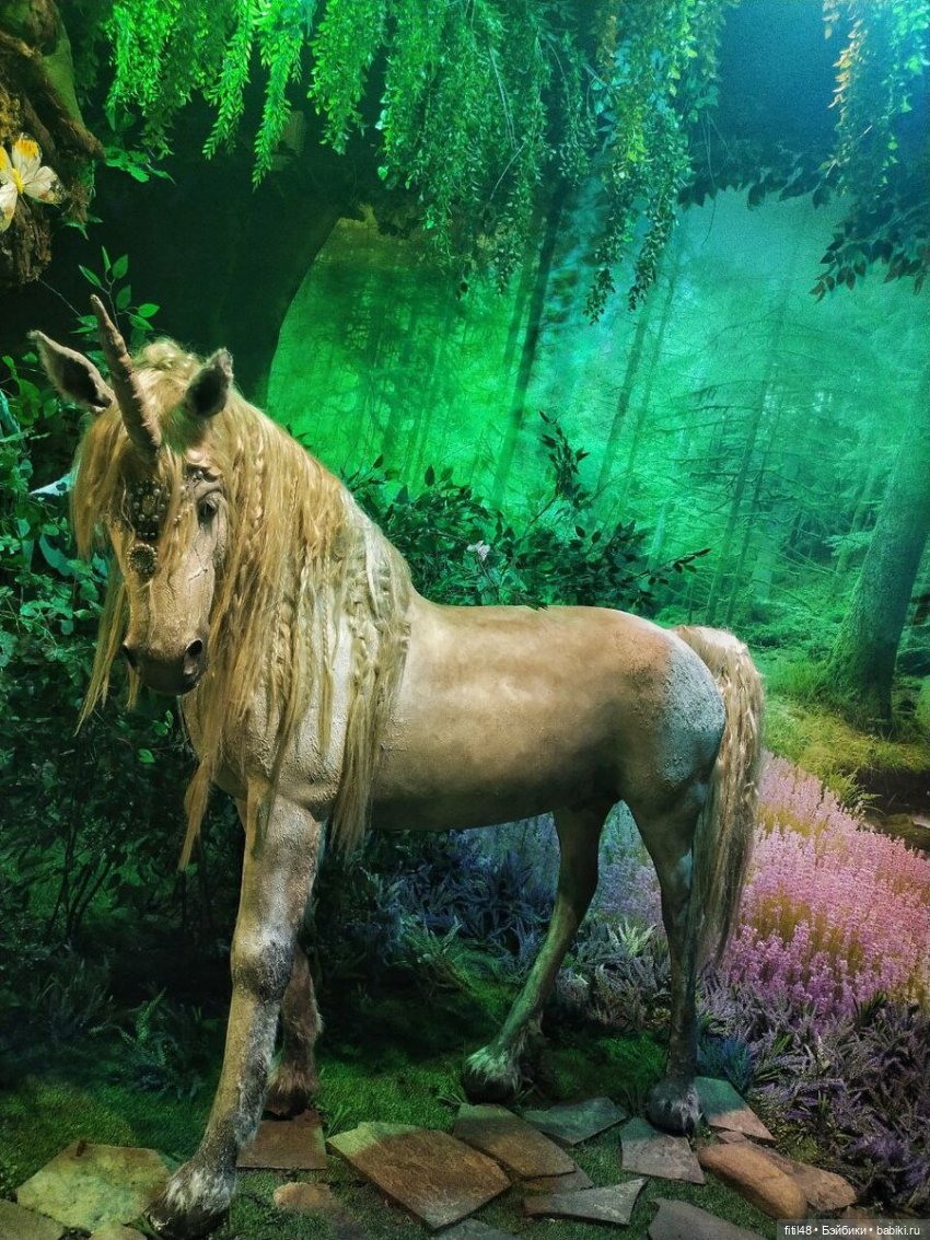 Бестиарий — Интересное и необычное: фотоподборки