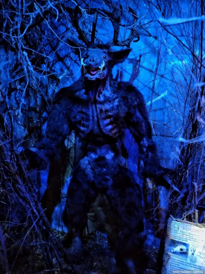 Бестиарий — Интересное и необычное: фотоподборки (фото 10)