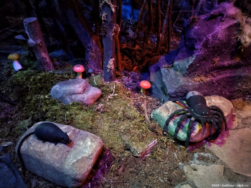 Бестиарий — Интересное и необычное: фотоподборки