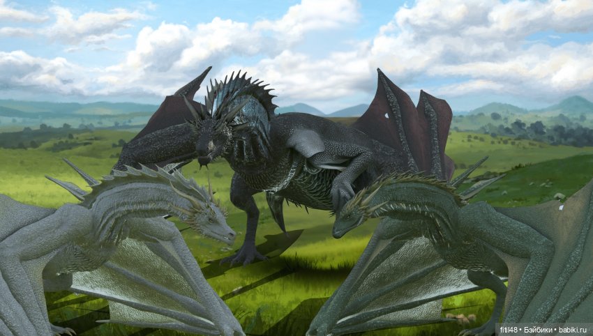 Тайны темного леса (Часть 1) (фото 7)