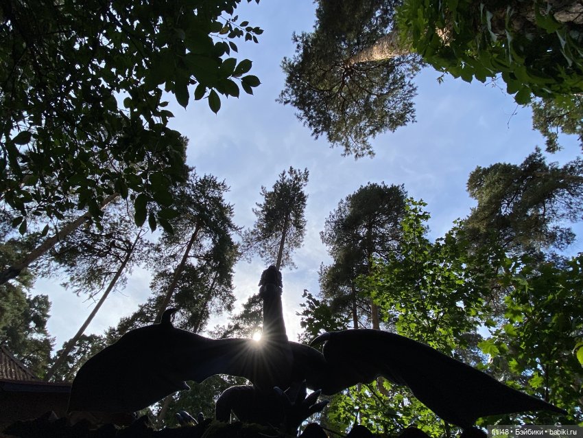 Тайны темного леса (Часть 2)