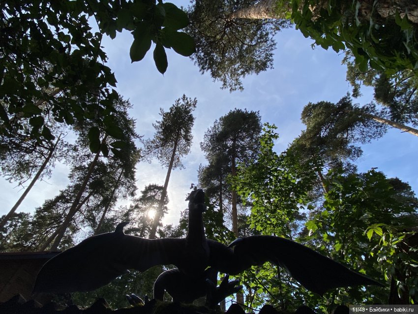 Тайны темного леса (Часть 2) (фото 10)