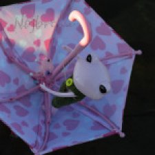 Мои лягушки от Wonderfrog