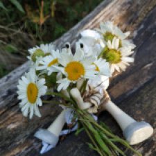 Wonderfrog. Красота в простоте