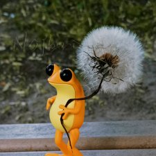 Здравствуй, новая лягушка! Apofrog