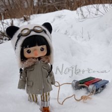 Моя зимняя свинка Bokka