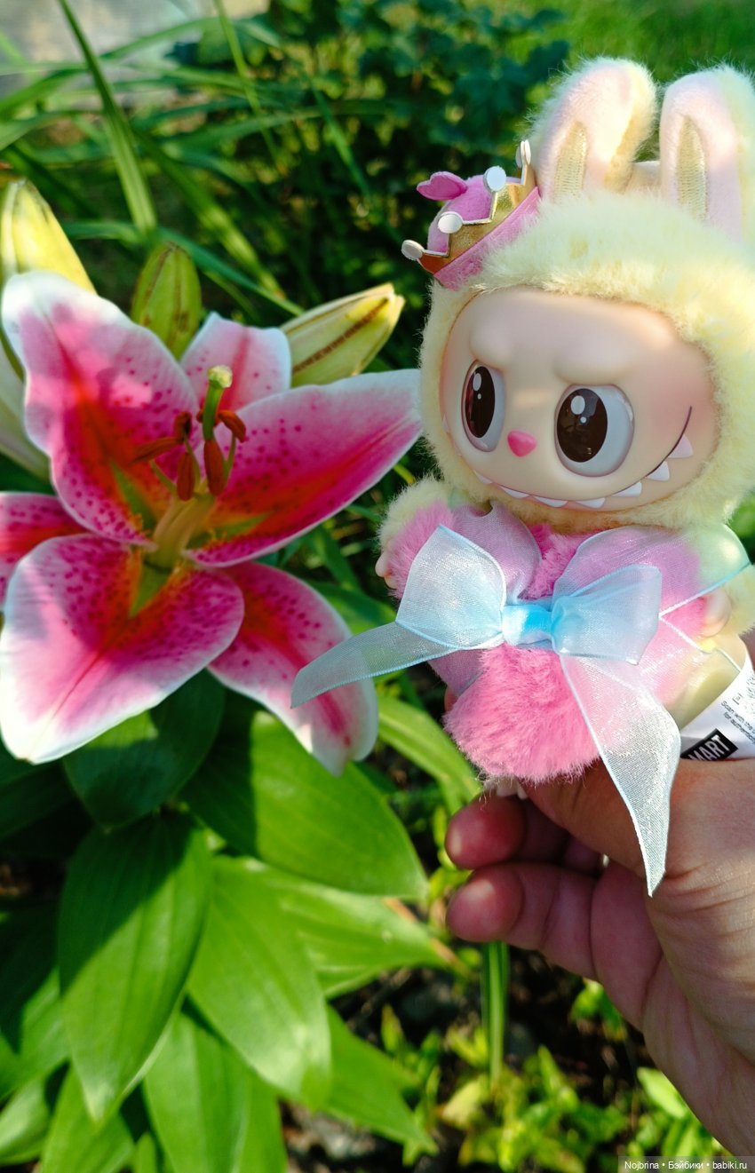 И снова здравствуйте — Игрушки Labubu (Лабубу) и The Monsters: Pop Mart (фото 2)