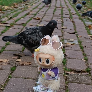 Соя - деловая колбаса