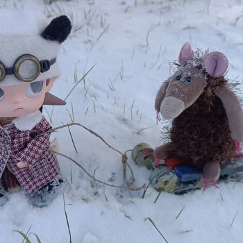 Муха, история в трёх кадрах