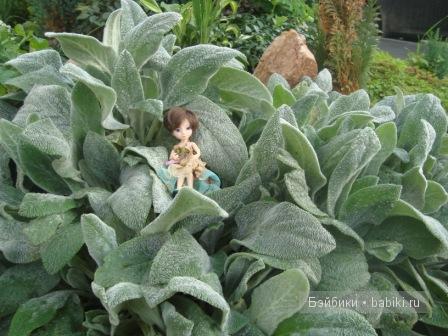 Марсианка Николь — Куклы Milim Studio (Милим): российские БЖД (фото 7)