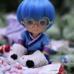 Появление нового друга