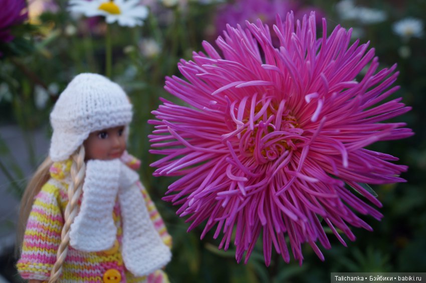 Когда появляется новая куколка, хочется её наряжать (фото 5)
