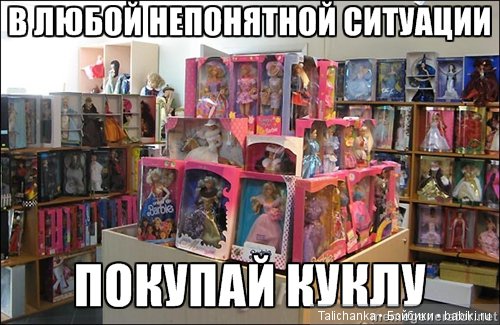 В 40 лет жизнь только начинается