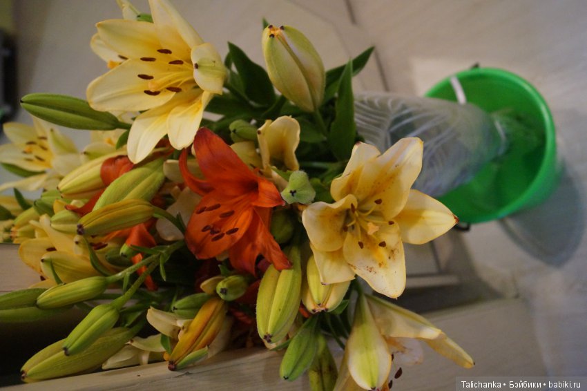 В 40 лет жизнь только начинается