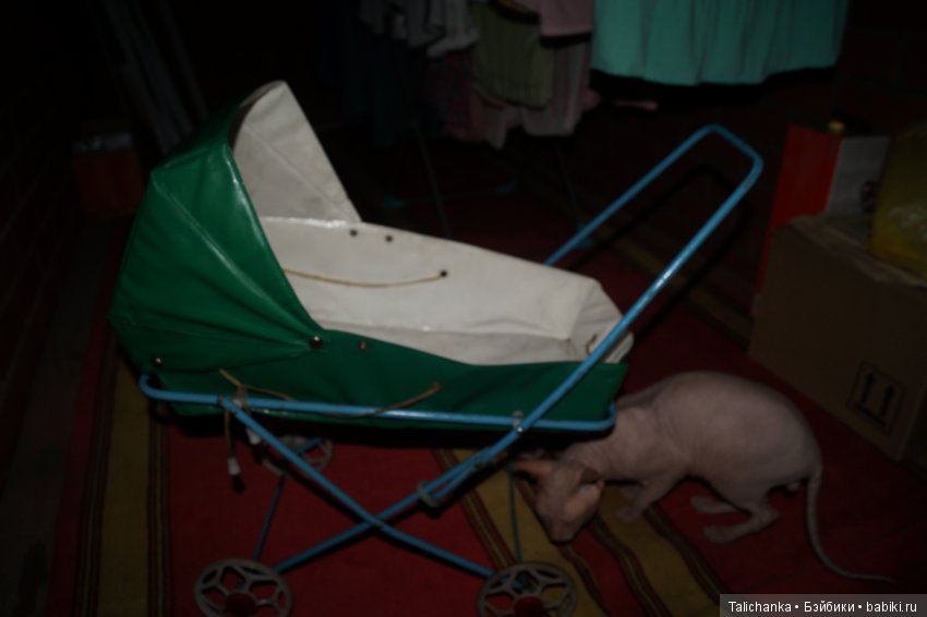 Тёмной, темной ночью, в дождливую, дождливую погоду... или почти страшная история | Бэйбики Тёмной, темной ночью, в дождливую, дождливую погоду... или почти страшная история (фото 3)