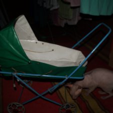 Тёмной, темной ночью, в дождливую, дождливую погоду... или почти страшная история!