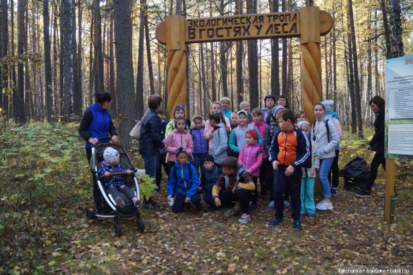 Год назад, в Рождество нам Бог собачку послал найдёнка Белочка
