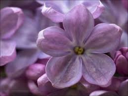 Суеверия, ритуалы и обычаи советских детей. Сплюнуть, постучать по дереву, подержаться за пуговку