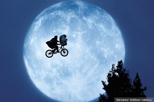 ИТи. Инопланетянин | Бэйбики ИТи. Инопланетянин — Другие хобби и увлечения: сад (фото 4)