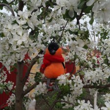 С добрым утром! Всем отличного настроения