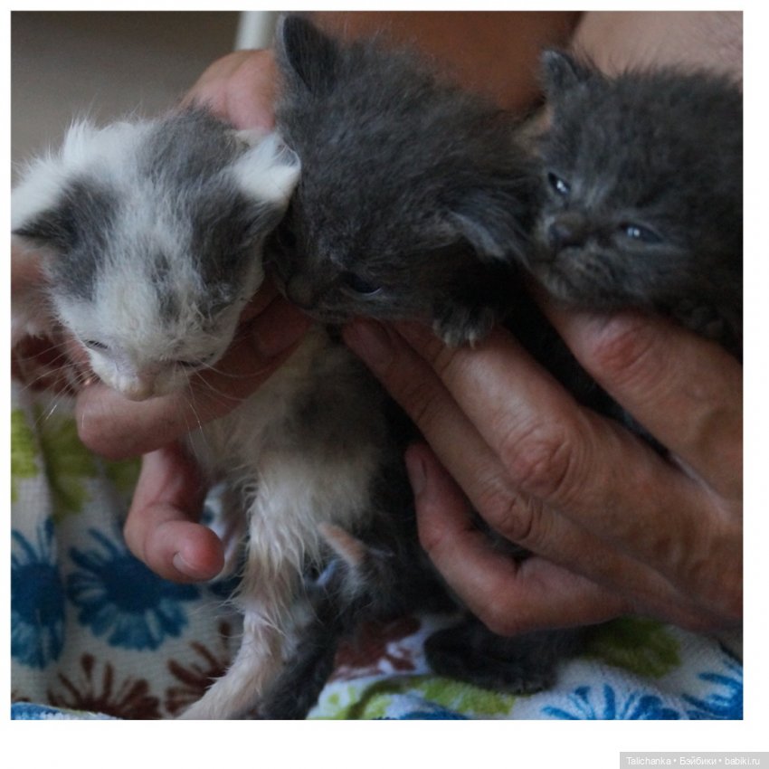 Первая июльская выписка. Две разные поломки шейного крепления - исправляем. Санаторий для кукол. И новые пациенты