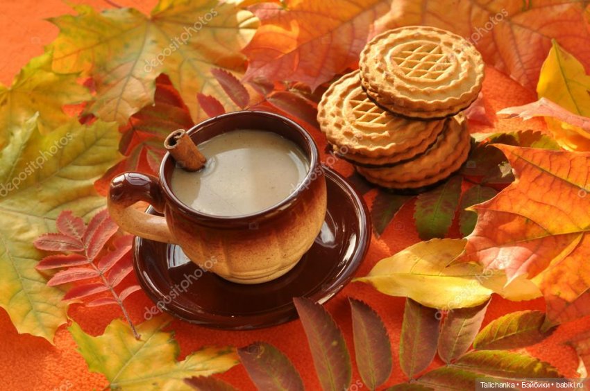 Первая октябрьская выписка. Воссоединение головы и тела. Парикмахерские услуги. Базирон+солнце