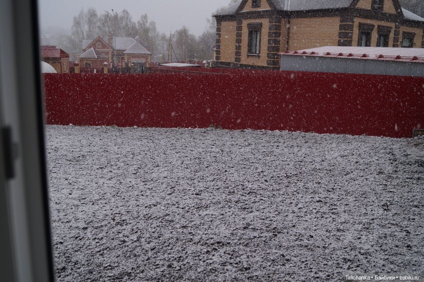 Друг Бориса Анатольевича — Российские куклы Весна