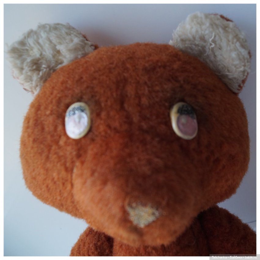 Третья выписка июля. Мишка здоров, лапки целы. Паяем плечико донецкому Илюше. Один Егорка от Весны здоров (фото 5)