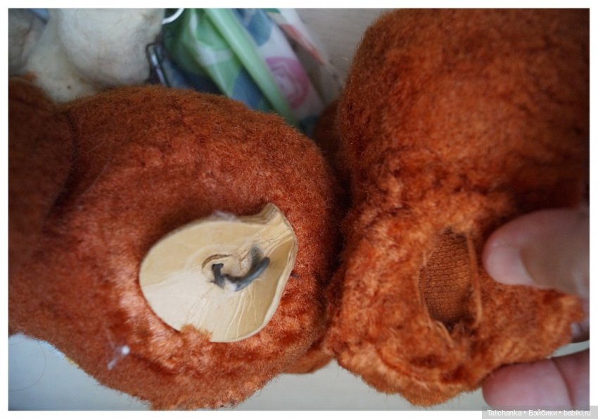 Третья выписка июля. Мишка здоров, лапки целы. Паяем плечико донецкому Илюше. Один Егорка от Весны здоров (фото 7)