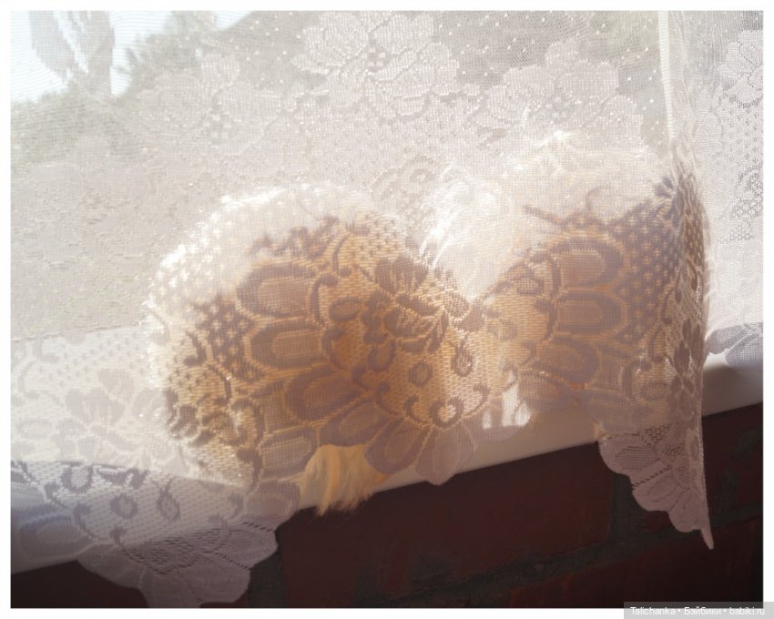 Четвёртая выписка июля. Второй Егорушка здоров. Чиним шейный шарнир Стейси. Кену уложили волосы (фото 5)