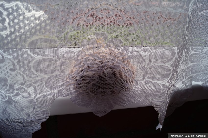 Пятая выписка июля. Новые волосы для горьковской девочки. Карлсон здоров. Две Женьки прихорошились. Оленьки снова видят